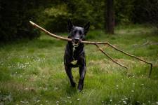 Marie-Emmanuelle DIOT LAPORTE - Memograph