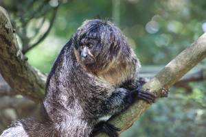 Marie-Emmanuelle DIOT LAPORTE - Memograph